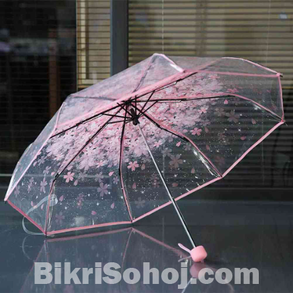 Colourful Umbrella